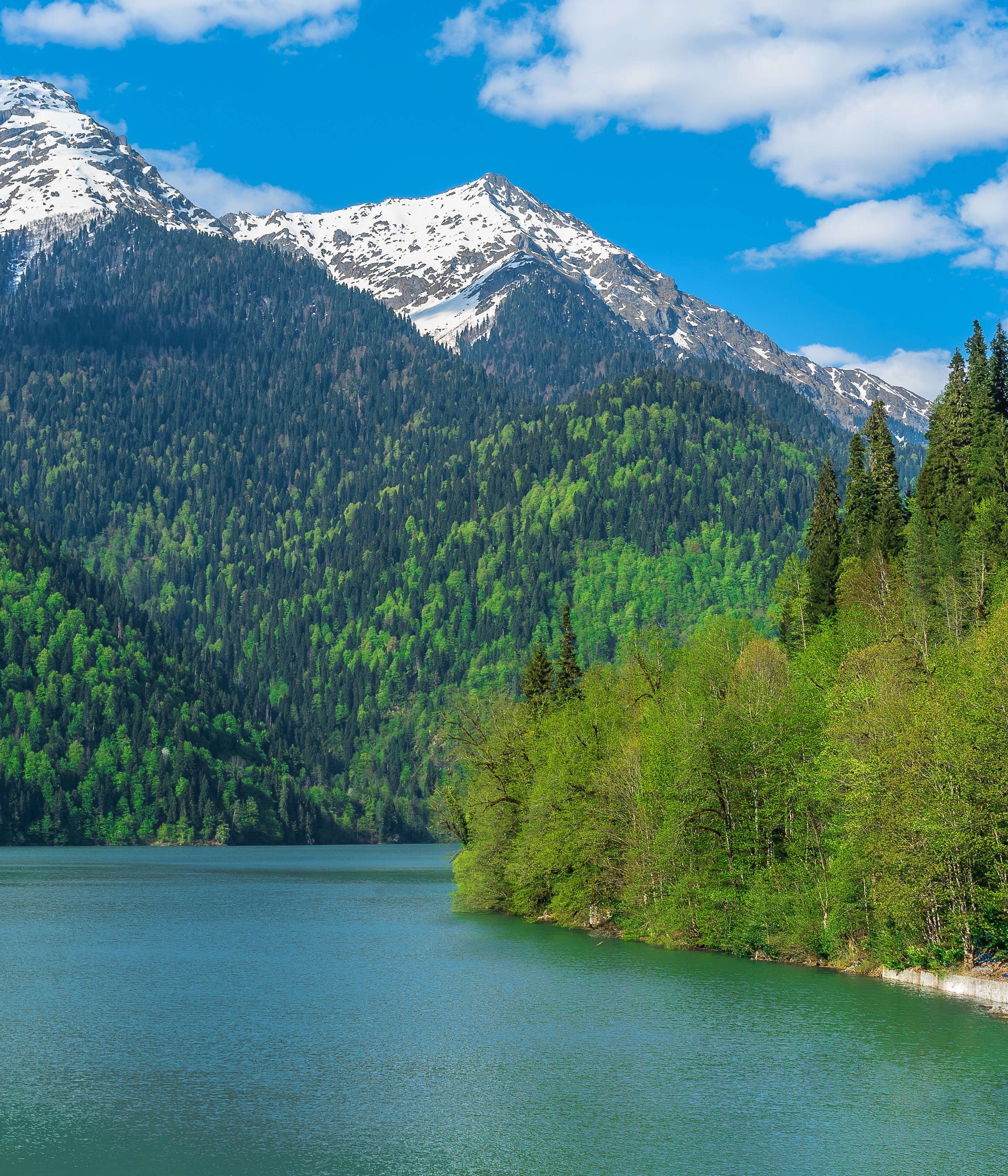 Kashmir Legacy Mountain